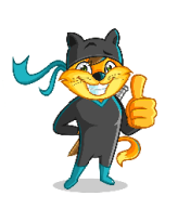 ninja-cat